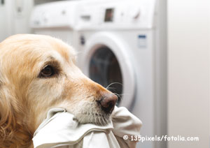 Waschmaschine stinkt